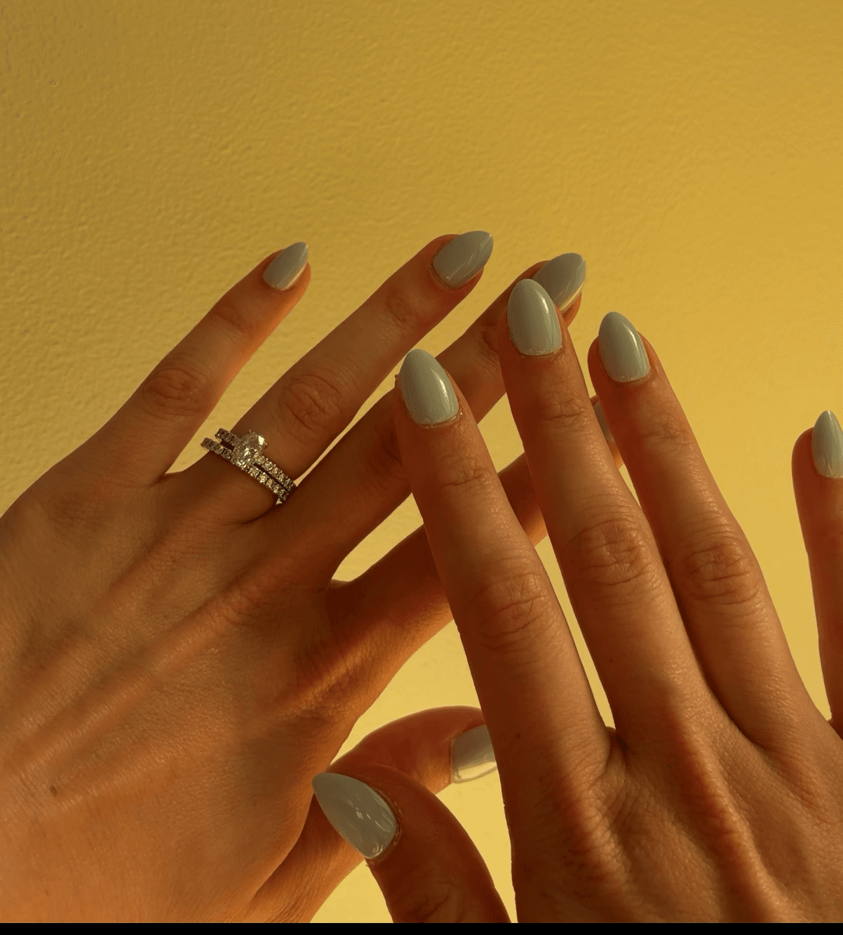 Banner image 3