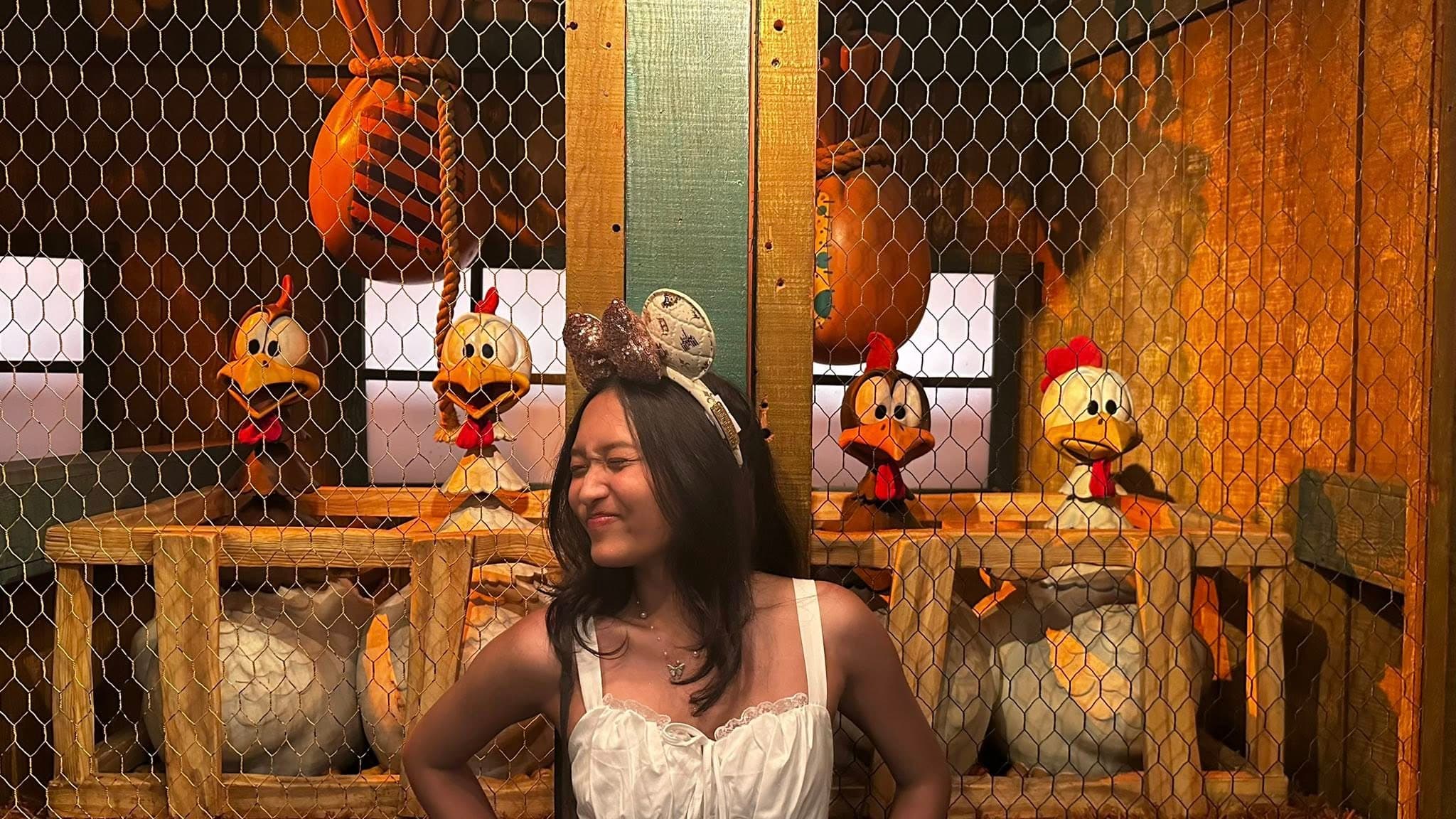 Banner image 2
