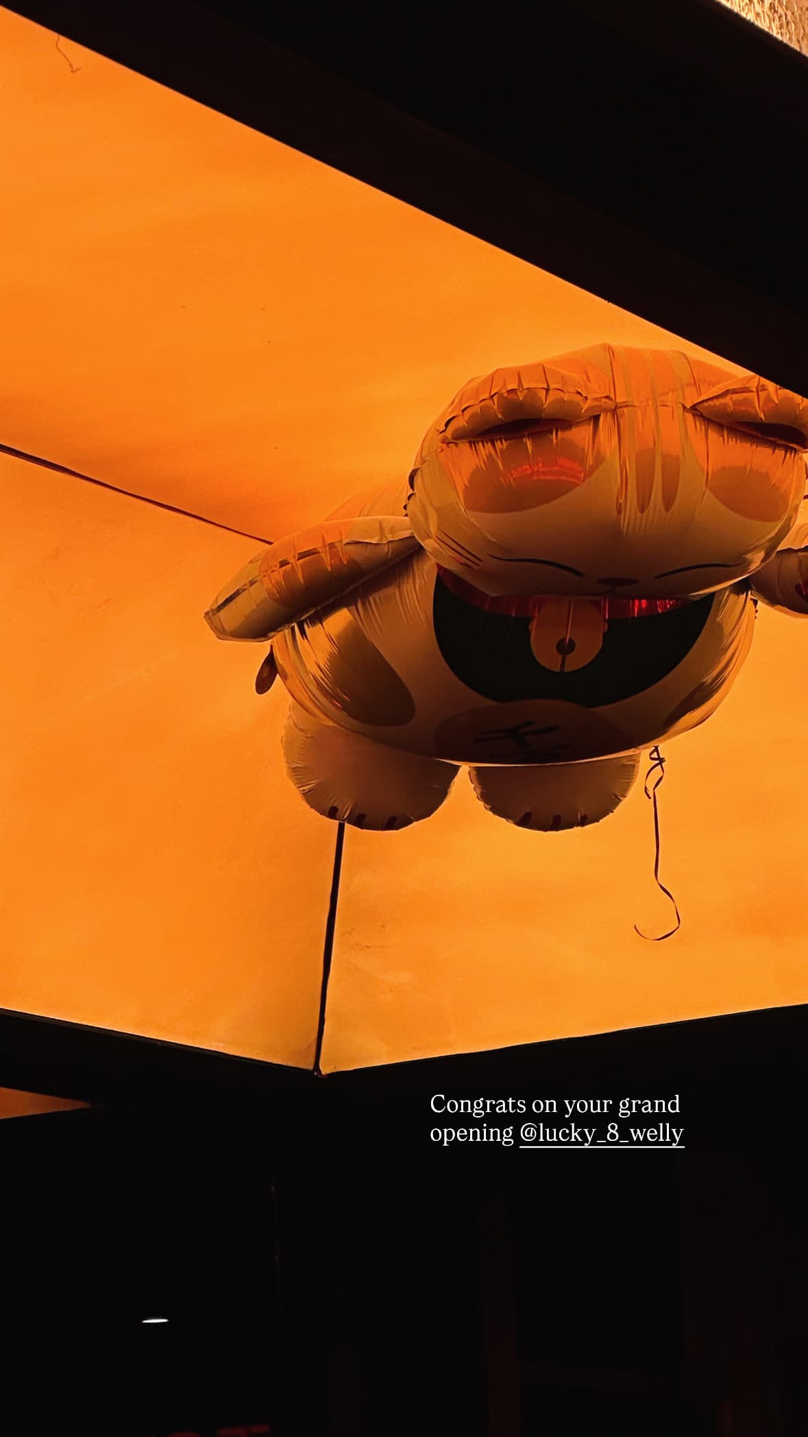 Banner image 3
