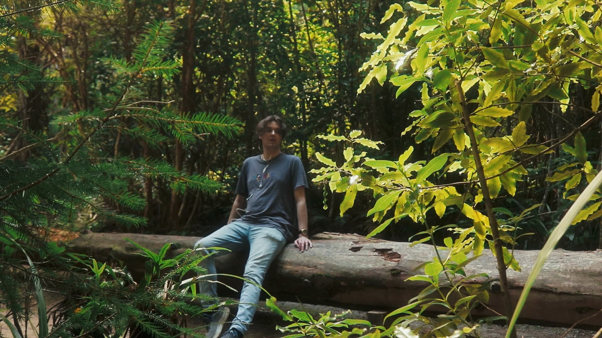 Banner image 2