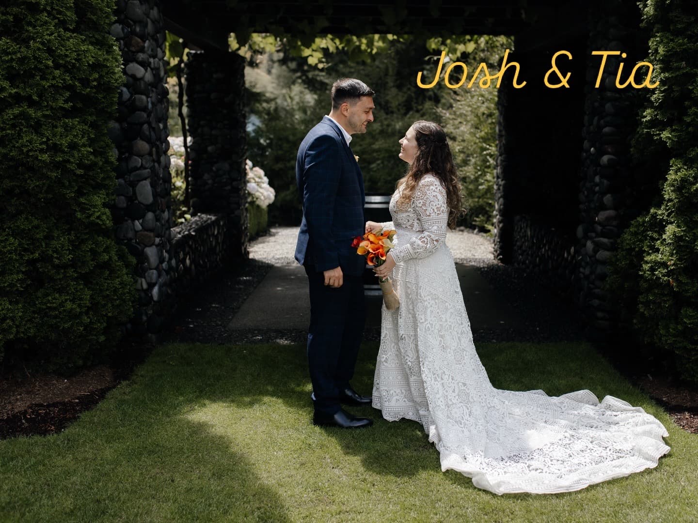 Banner image 3
