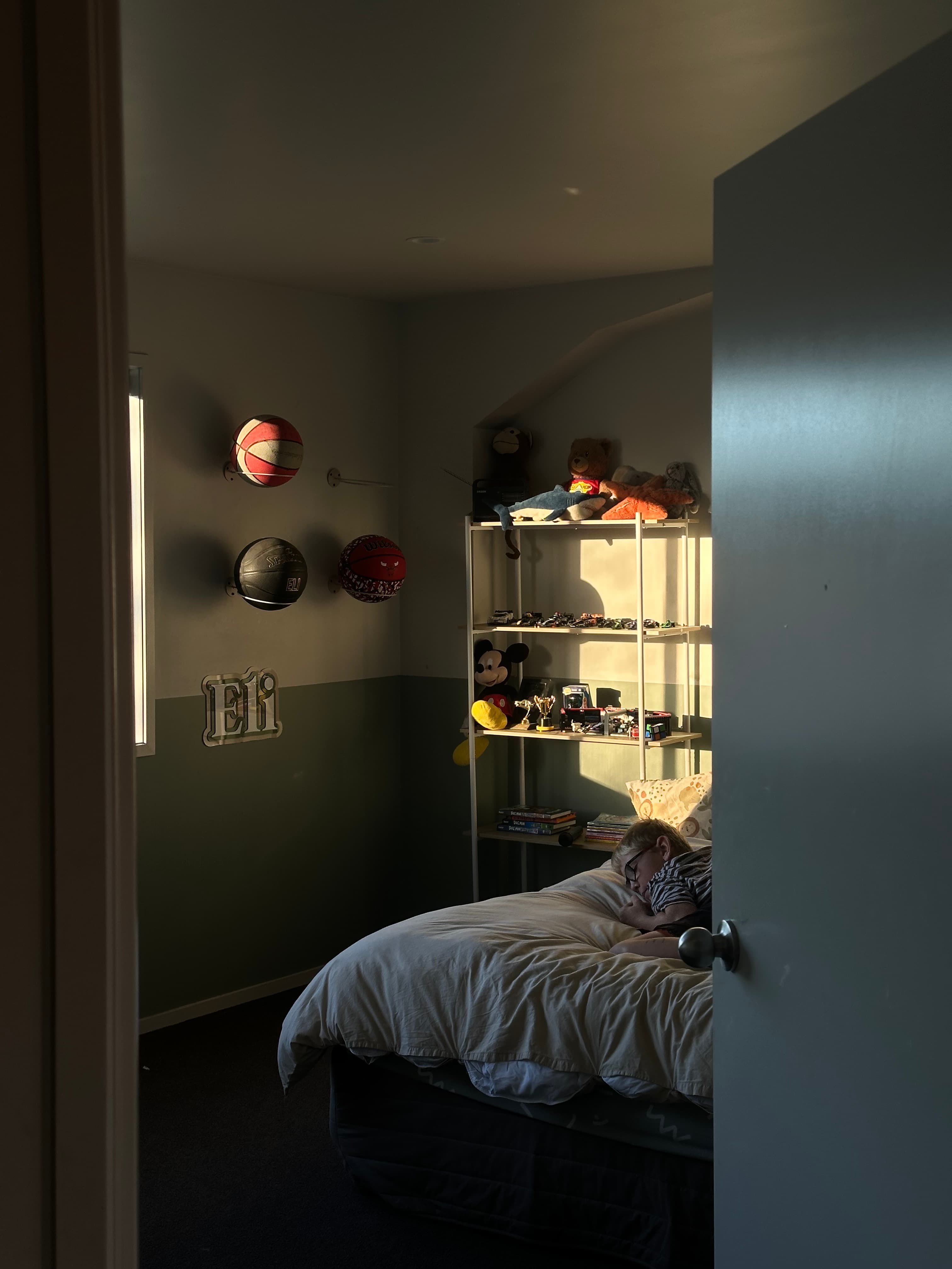 Banner image 1