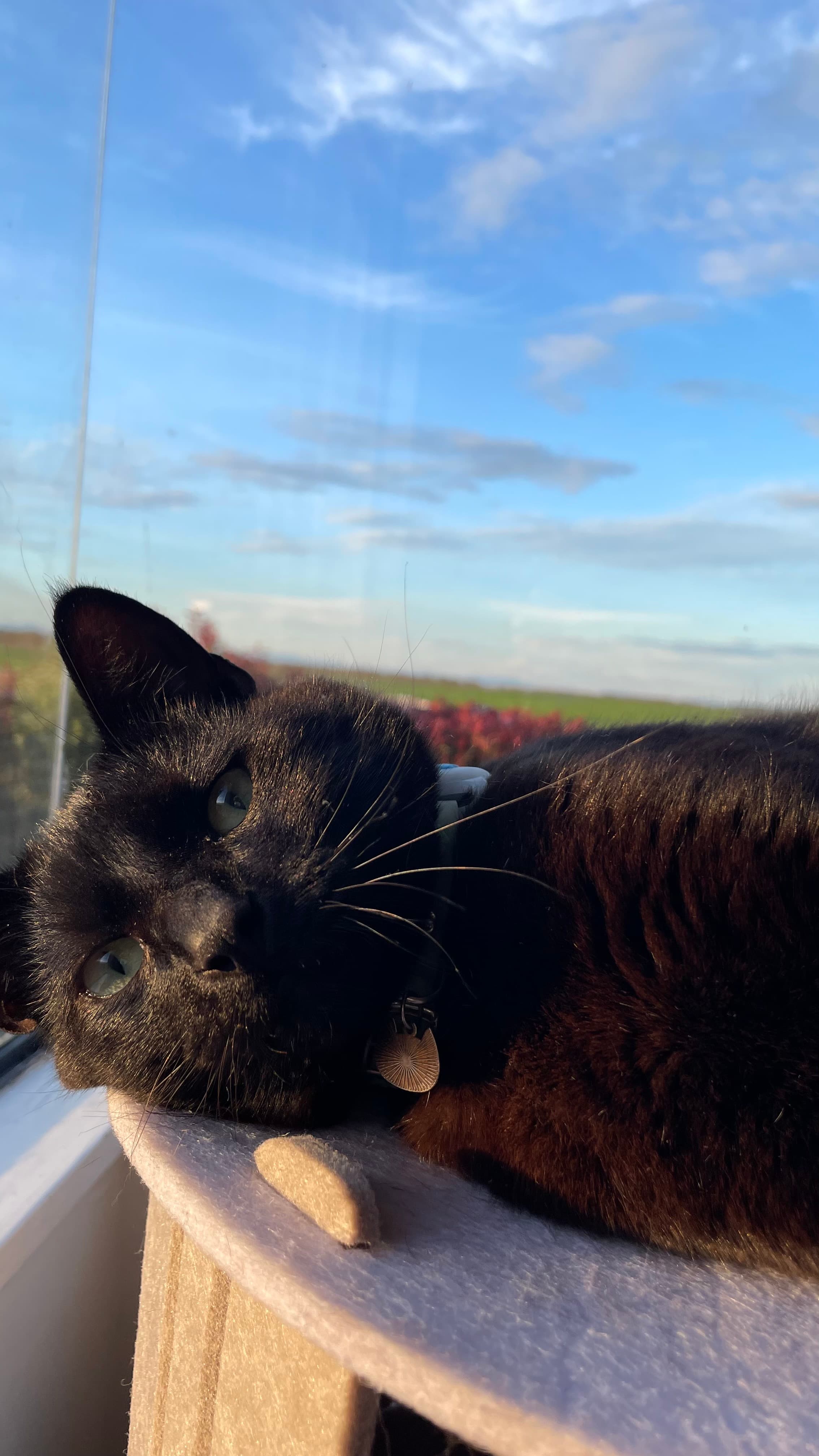 Banner image 1