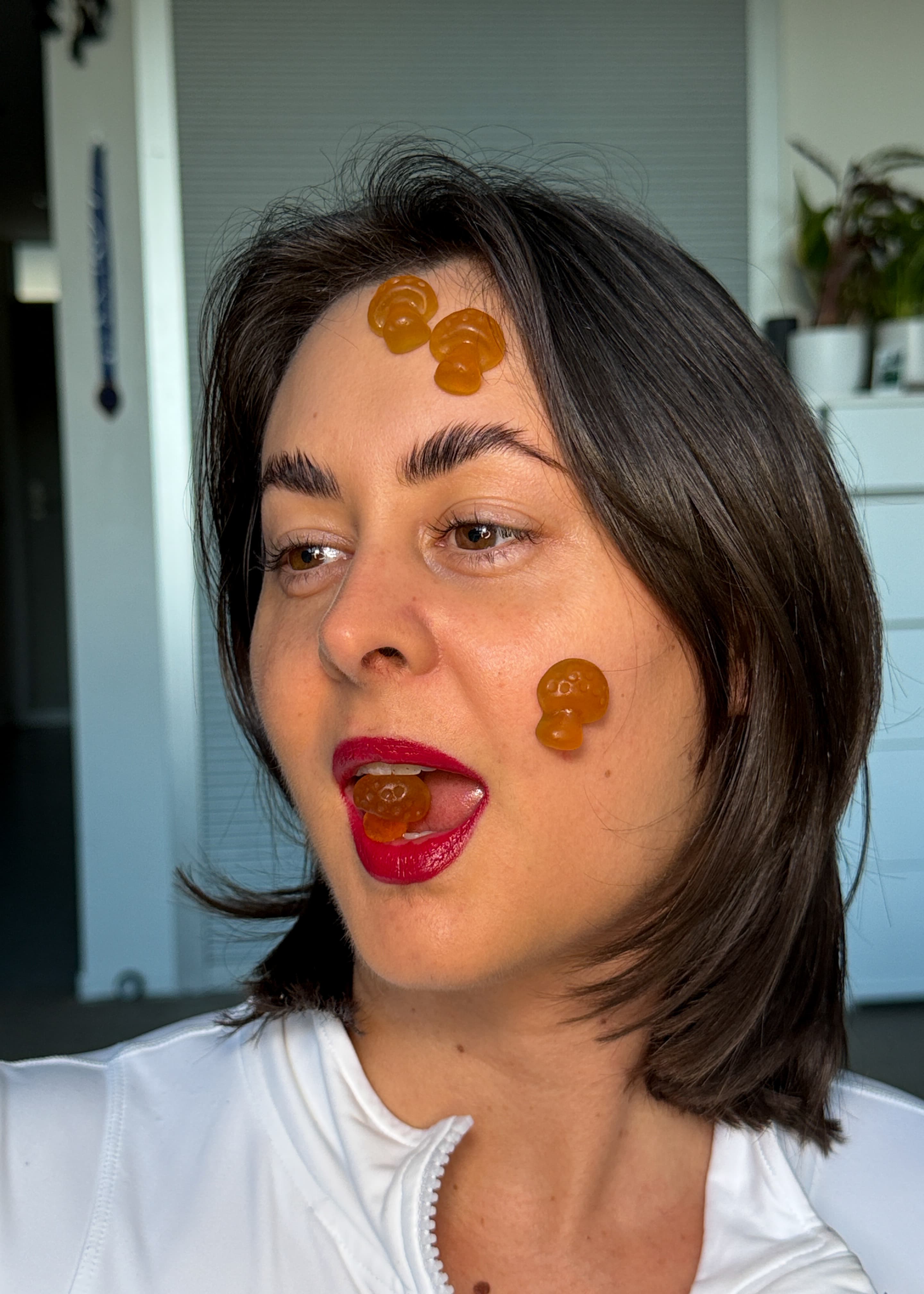 Banner image 2