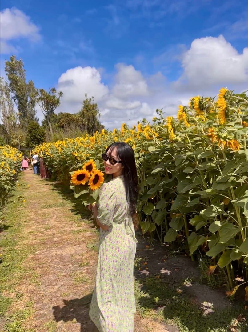 Banner image 3