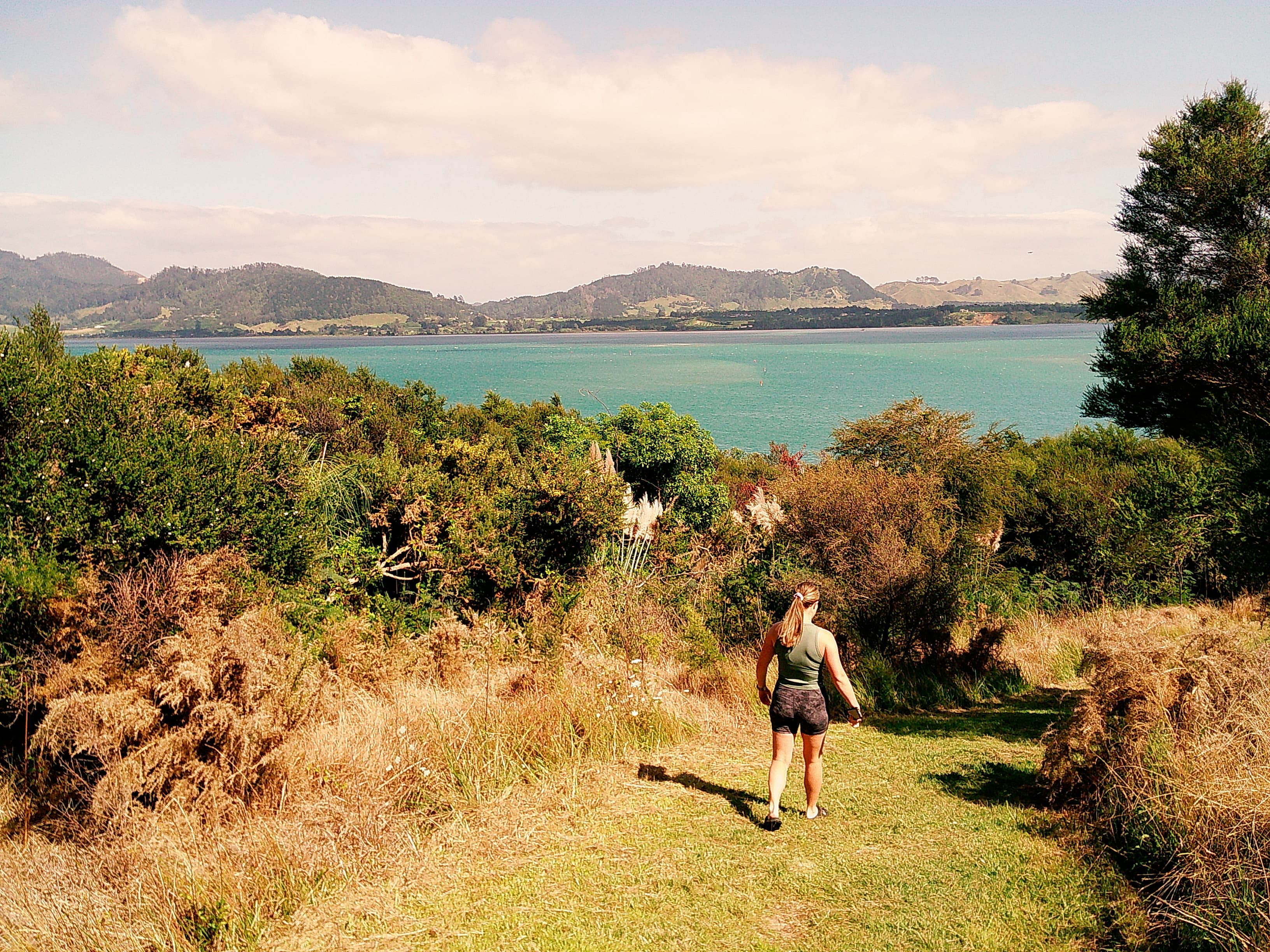 Banner image 1