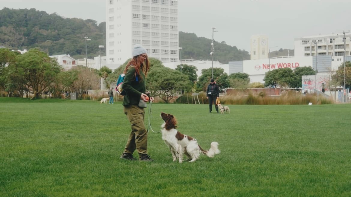 Banner image 1