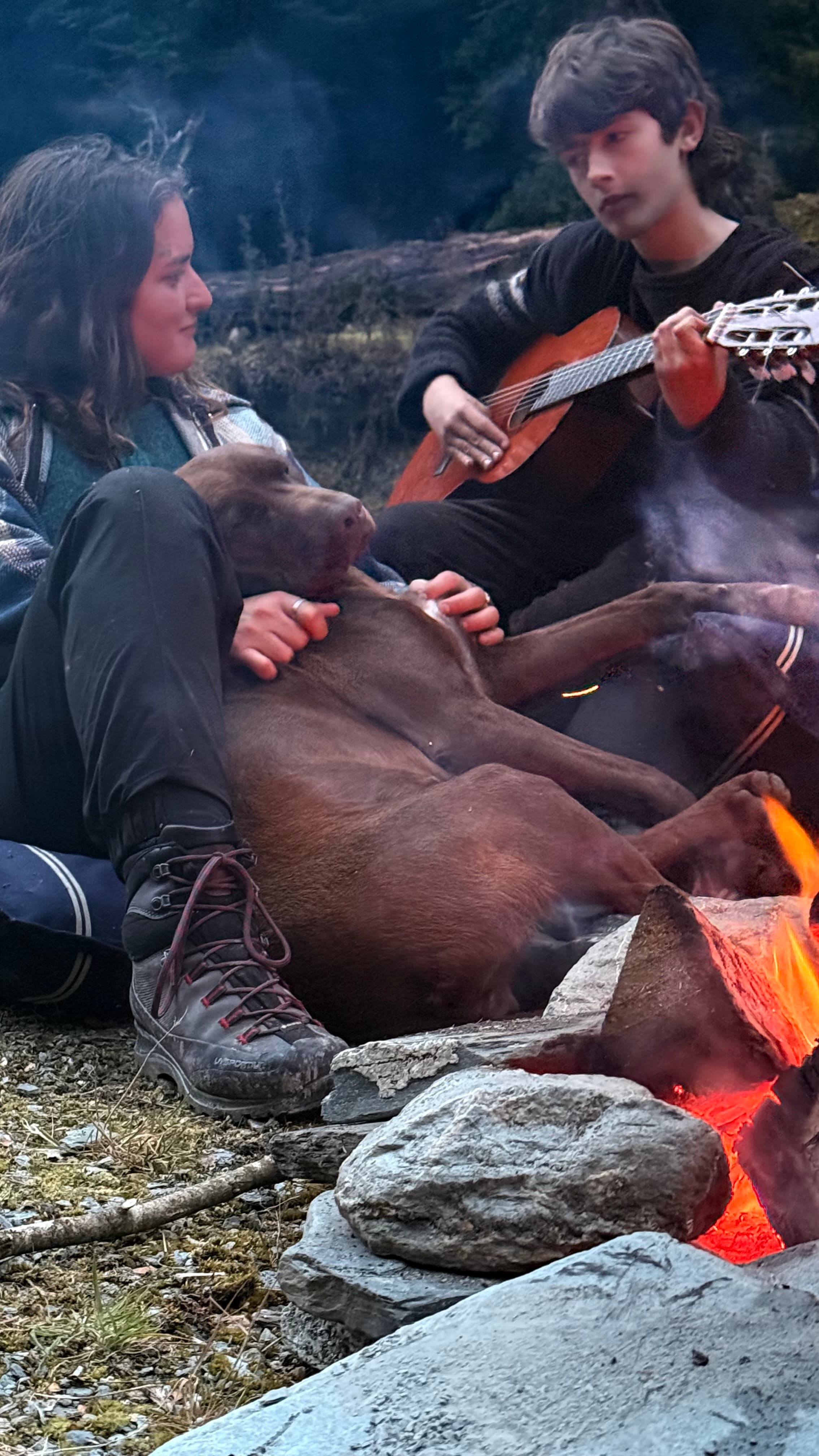Banner image 3