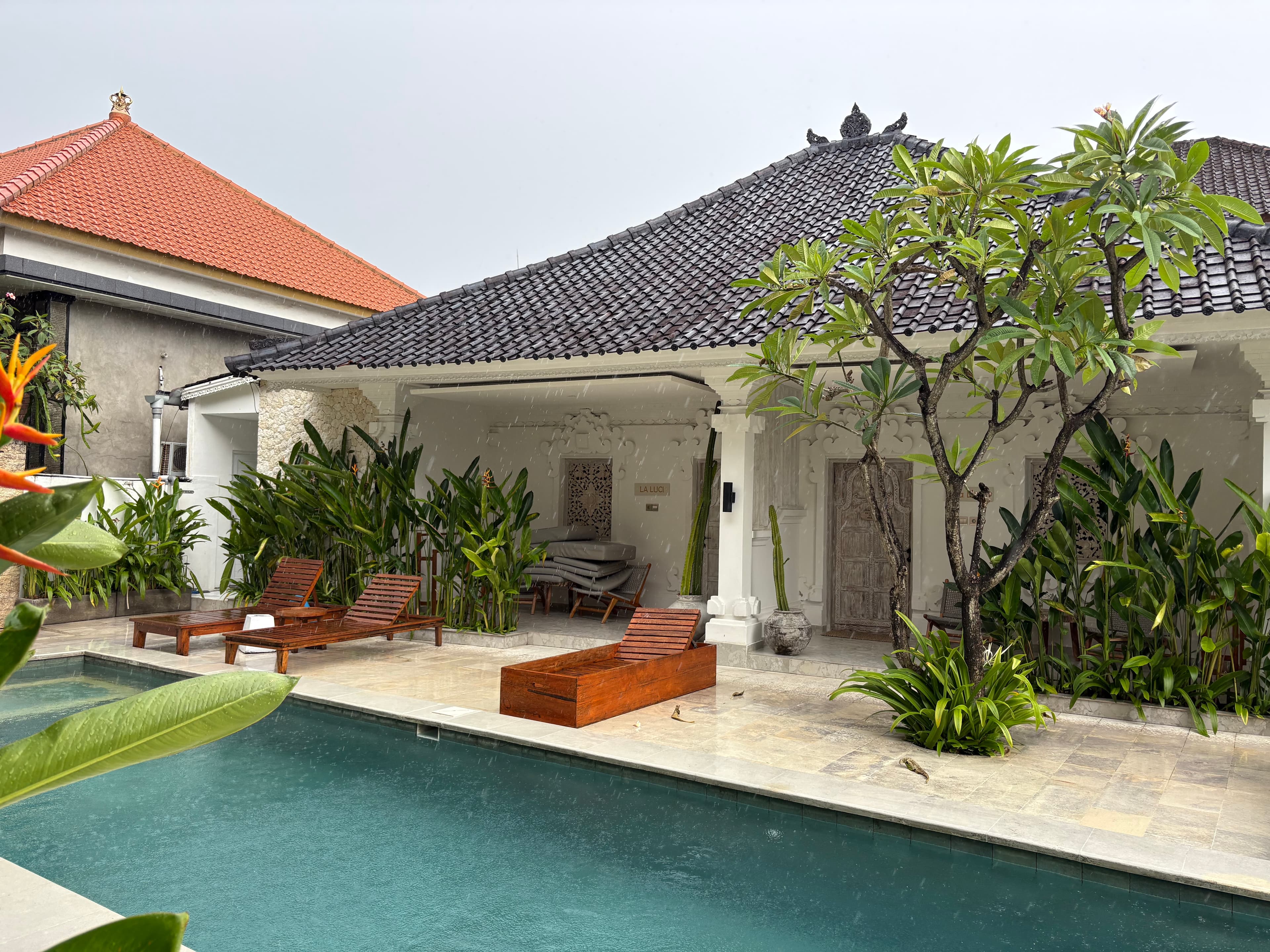 Banner image 2