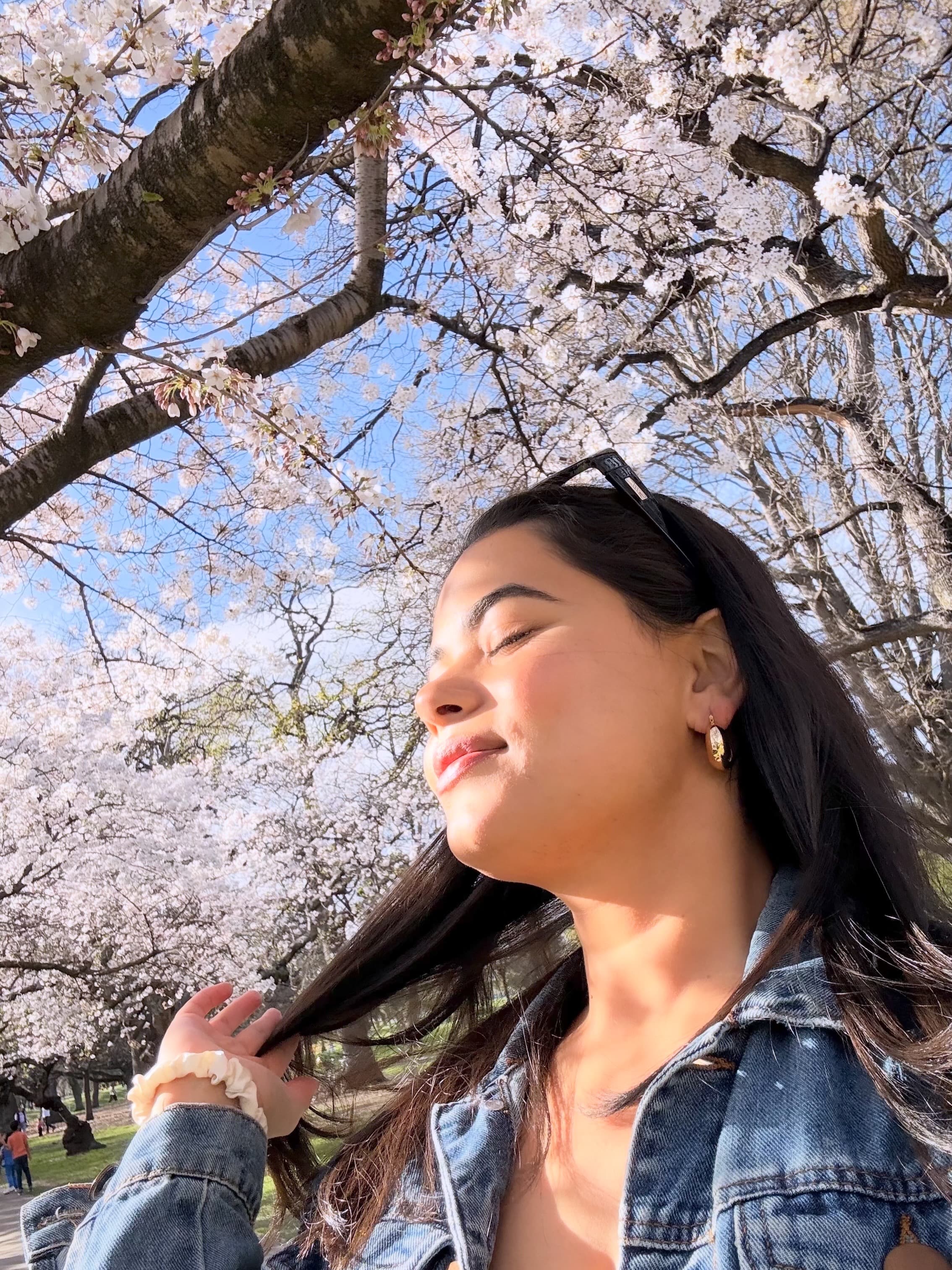 Banner image 1