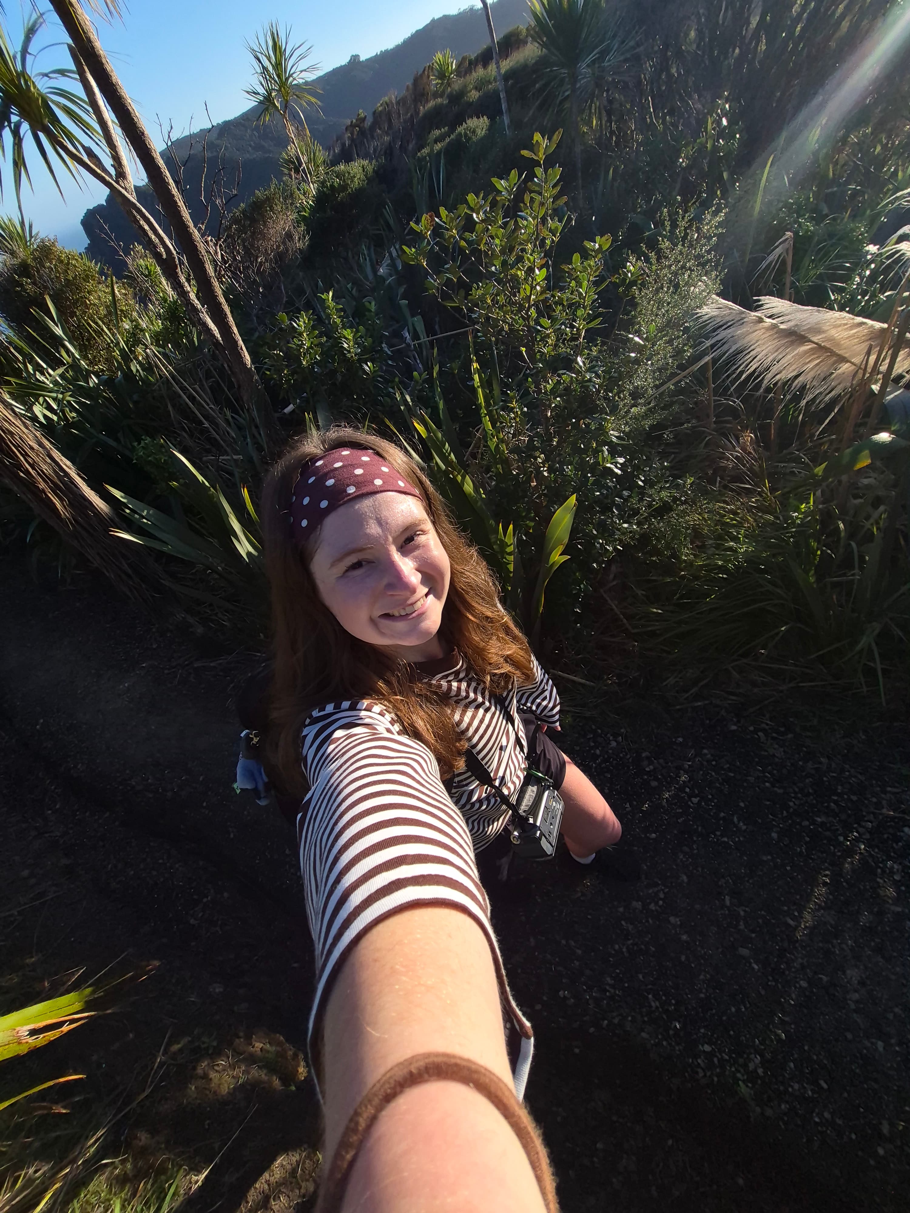 Banner image 3