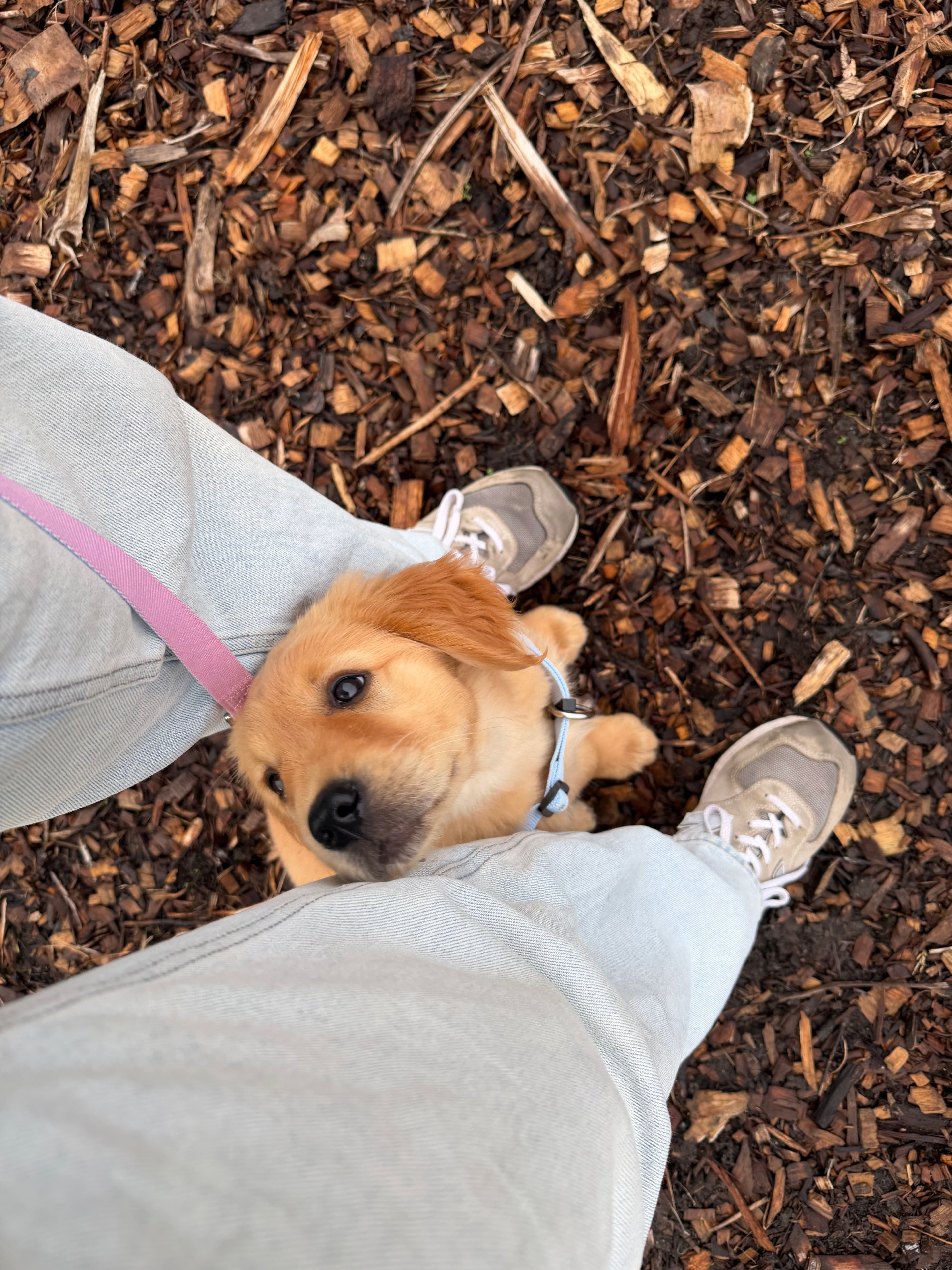 Banner image 1
