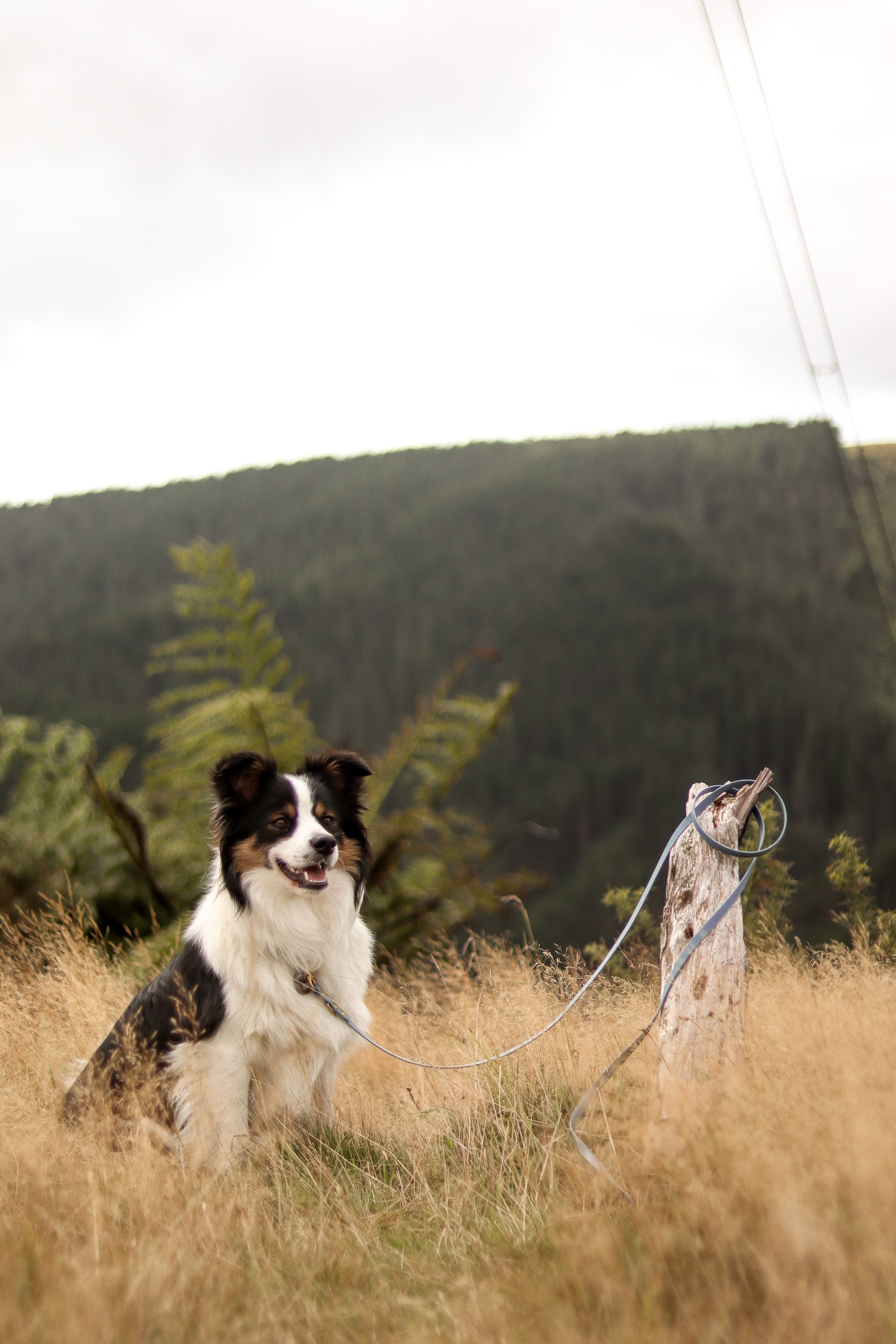 Banner image 1
