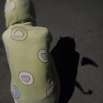 Phantom Undertow profile