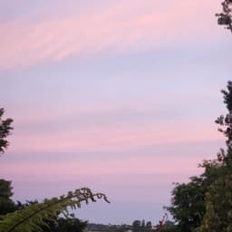 Sol Rodriguez profile